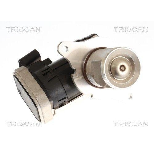 TRISCAN AGR-Ventil 8813 23045