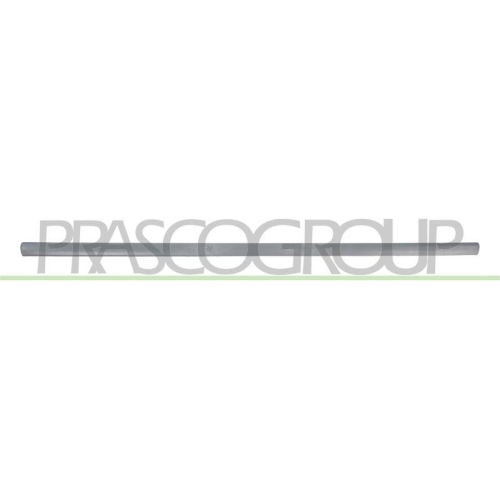 PRASCO Zier-/Schutzleiste, T&uuml;r VG0211414
