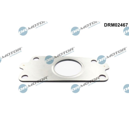 Dr.Motor Automotive Dichtung, Lader DRM02467