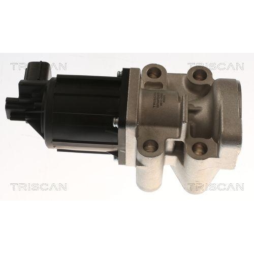 TRISCAN AGR-Ventil