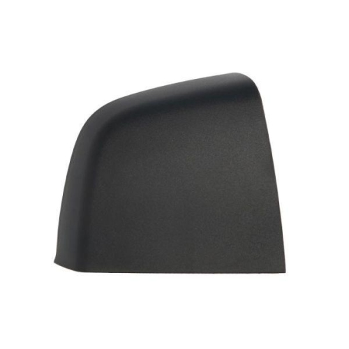 BLIC Gehäuse, Außenspiegel 6103-07-2001164P