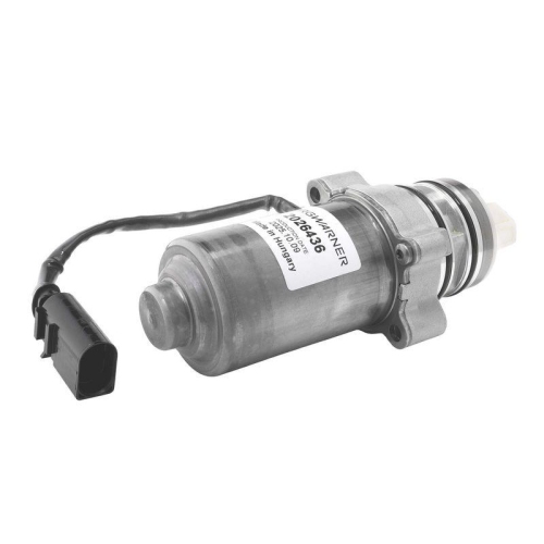 BorgWarner Pumpe, Lamellenkupplung (Allradantrieb) OE-Version/Erstausr&uuml;stung DS2026436