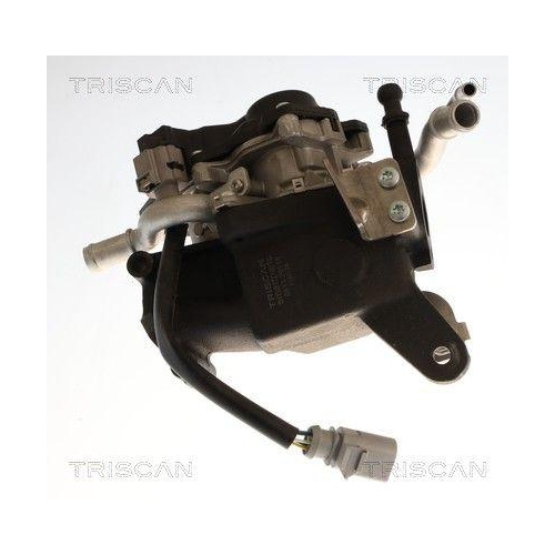TRISCAN AGR-Ventil 8813 29118