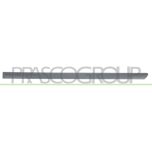 PRASCO Zier-/Schutzleiste, T&uuml;r VG0211464