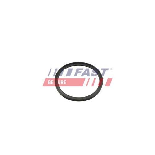 FAST Dichtring, Ladeluftschlauch FT49857