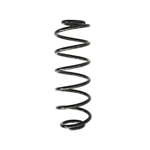 SPIDAN Fahrwerksfeder