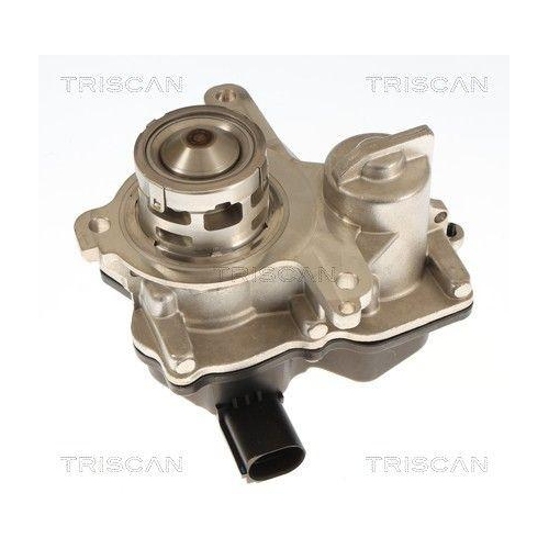 TRISCAN AGR-Ventil 8813 29119