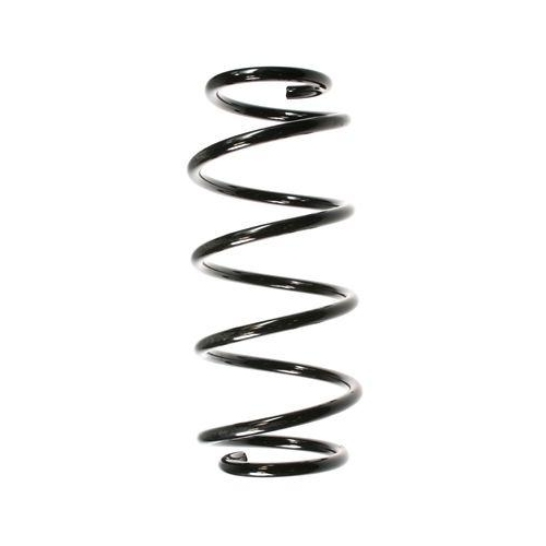 SPIDAN Fahrwerksfeder 49784