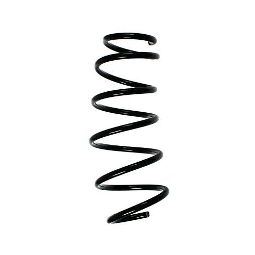 SPIDAN Fahrwerksfeder