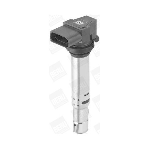 BorgWarner (BERU) Z&uuml;ndspule ZSE138