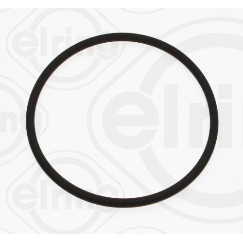 ELRING Dichtring 008.250
