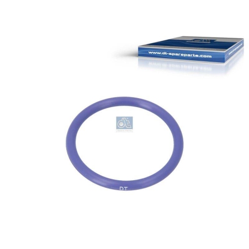 DT Spare Parts Dichtring 5.41035