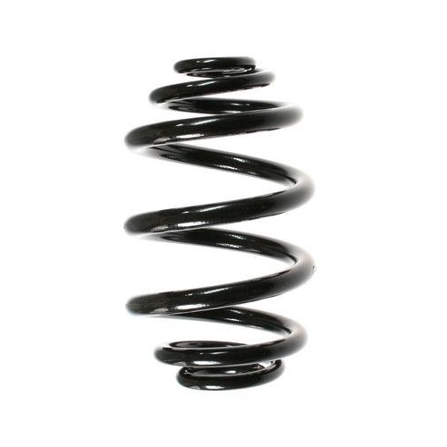 SPIDAN Fahrwerksfeder 49796