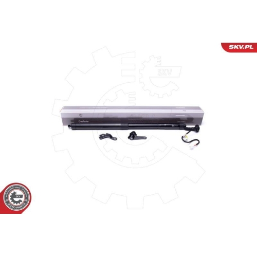 ESEN SKV Elektromotor, Heckklappe