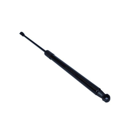MAXGEAR Gasfeder, Koffer-/Laderaum 12-2444