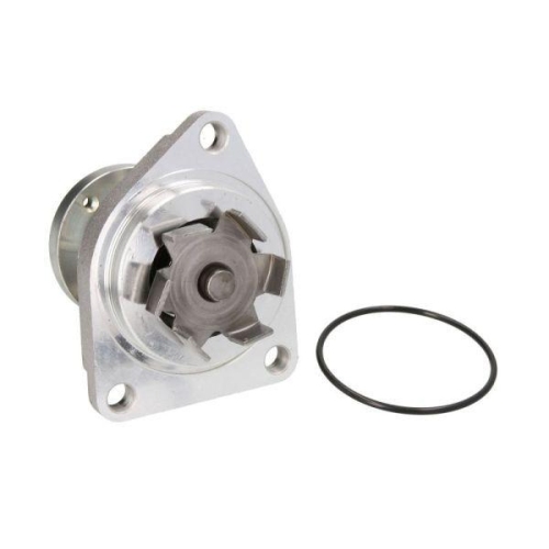 THERMOTEC Wasserpumpe, Motork&uuml;hlung D1X027TT