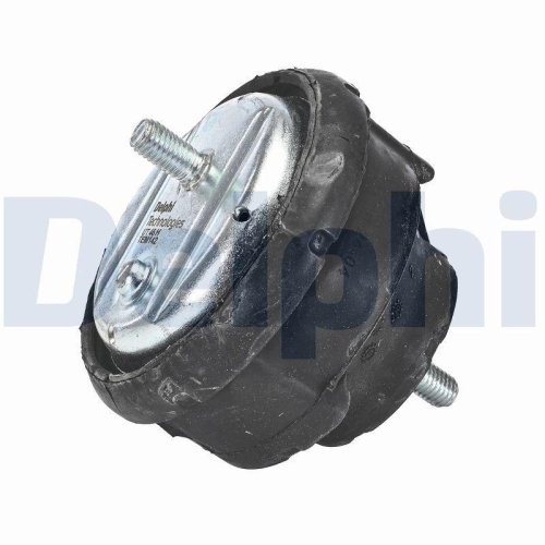 DELPHI Lagerung, Motor TEM142