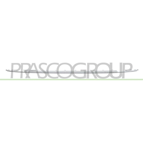 PRASCO Zier-/Schutzleiste, Sto&szlig;f&auml;nger VG8121255