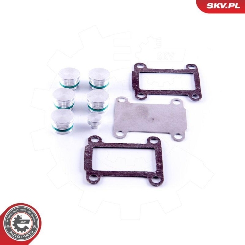 ESEN SKV Reparatursatz, Saugrohrmodul 49SKV531