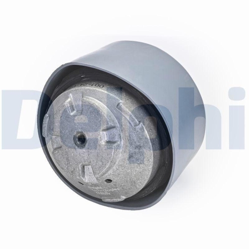 DELPHI Lagerung, Motor TEM202