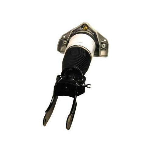 MAXGEAR Luftfederbein 11-0787