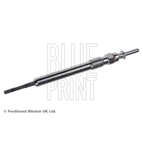 BLUE PRINT Glühkerze ADB111802