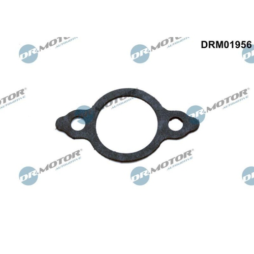 Dr.Motor Automotive Dichtung, Leitung AGR-Ventil DRM01956