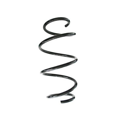 SPIDAN Fahrwerksfeder GKNW10244