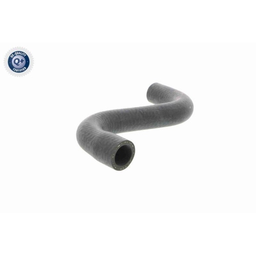 VAICO K&uuml;hlerschlauch Q+, Erstausr&uuml;sterqualit&auml;t