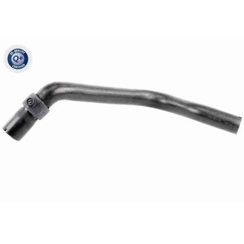 VAICO K&uuml;hlerschlauch Q+, Erstausr&uuml;sterqualit&auml;t V40-1169