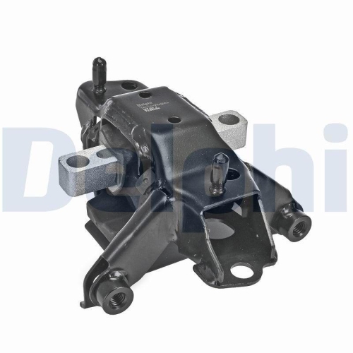 DELPHI Lagerung, Motor TEM266