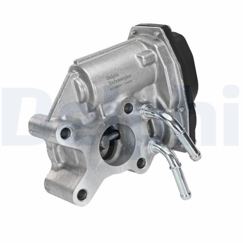 DELPHI AGR-Ventil EG10654-12B1