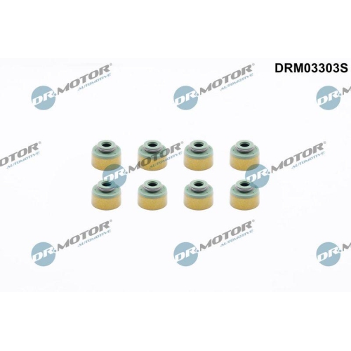 Dr.Motor Automotive Dichtungssatz, Ventilschaft DRM03303S