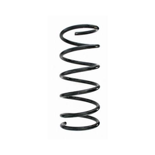 SPIDAN Fahrwerksfeder