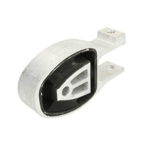 REINHOCH Lagerung, Motor RH11-4043