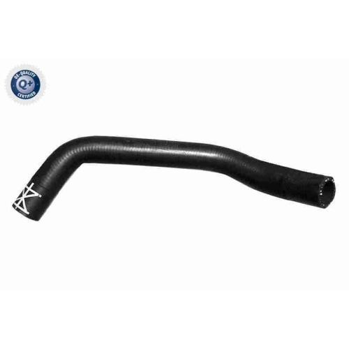 VAICO K&uuml;hlerschlauch Q+, Erstausr&uuml;sterqualit&auml;t V10-7564