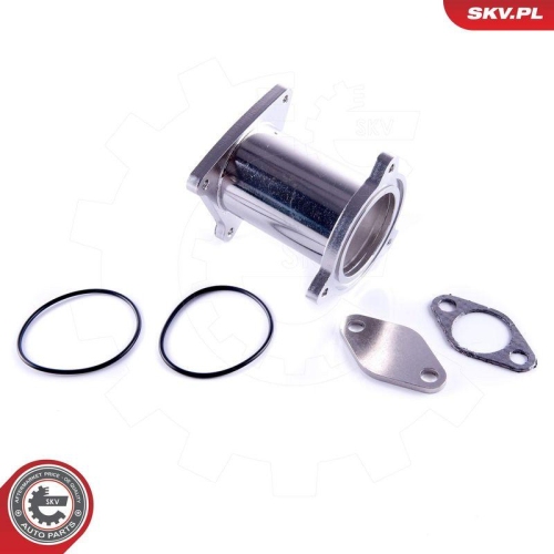 ESEN SKV Reparatursatz, AGR-Ventil 14SKV582