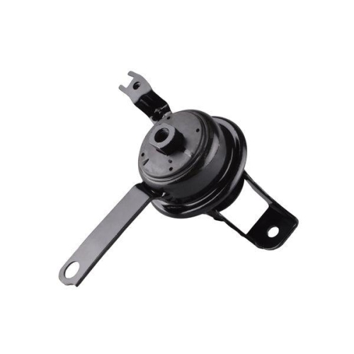 TEDGUM Lagerung, Motor 00672223