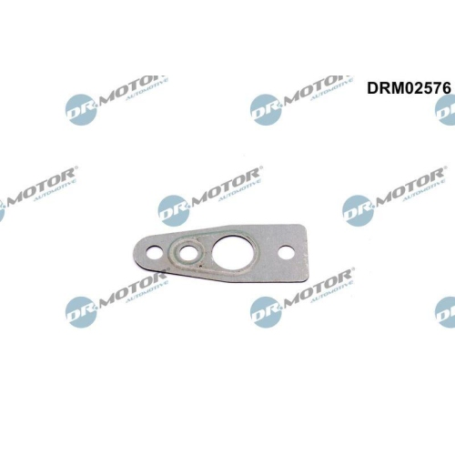 Dr.Motor Automotive Dichtung, &Ouml;lauslass (Lader) DRM02576