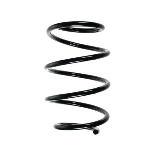 SPIDAN Fahrwerksfeder