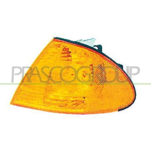PRASCO Blinkleuchte TYC BM0184003