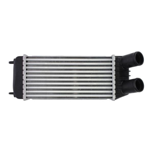 THERMOTEC Ladeluftk&uuml;hler DAP006TT