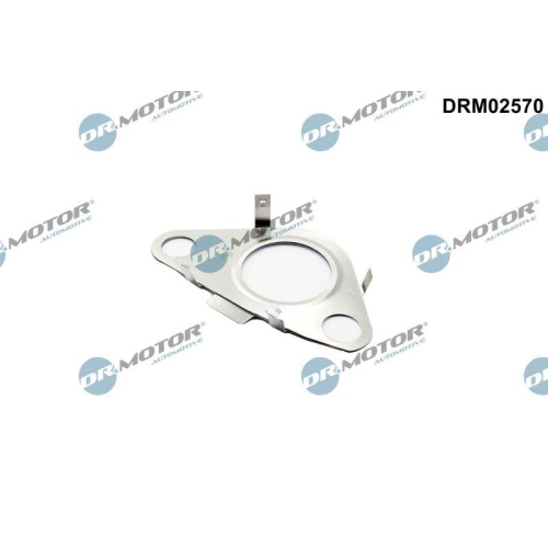 Dr.Motor Automotive Dichtung, Leitung AGR-Ventil DRM02570
