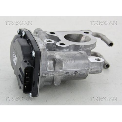 TRISCAN AGR-Ventil 8813 13021