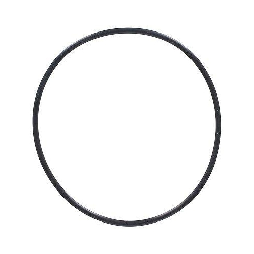 ELRING Dichtring 794.570