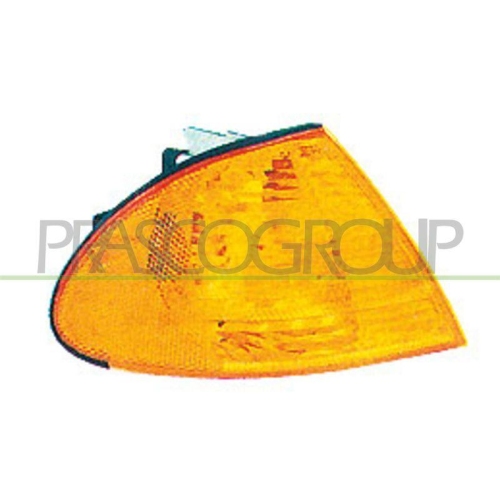 PRASCO Blinkleuchte TYC BM0184004