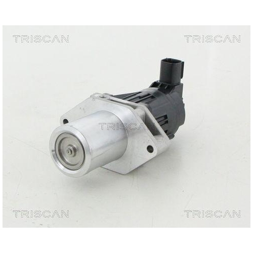 TRISCAN AGR-Ventil 8813 24209