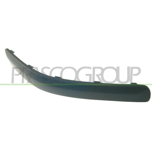 PRASCO Zier-/Schutzleiste, Sto&szlig;f&auml;nger HN3301243