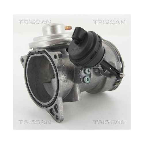 TRISCAN AGR-Ventil 8813 29070