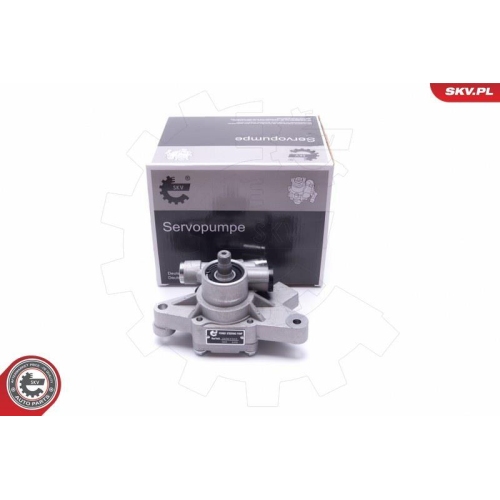 ESEN SKV Hydraulikpumpe, Lenkung